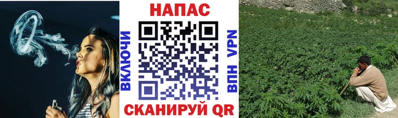 что такое   Санкт-Петербург  Шишки марихуана OG Kush 